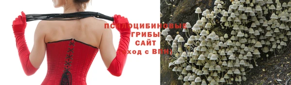 Альфа ПВП Алексин