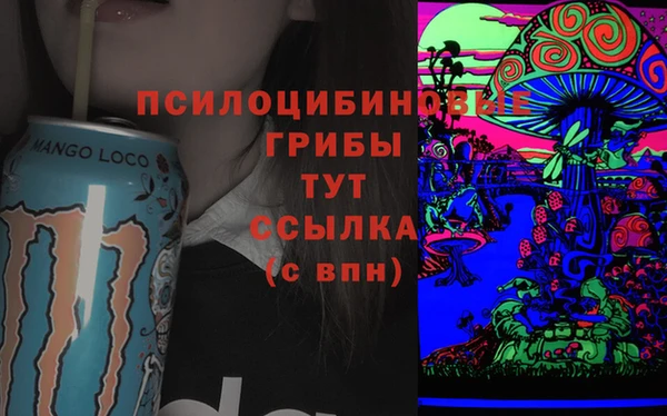 Альфа ПВП Алексин