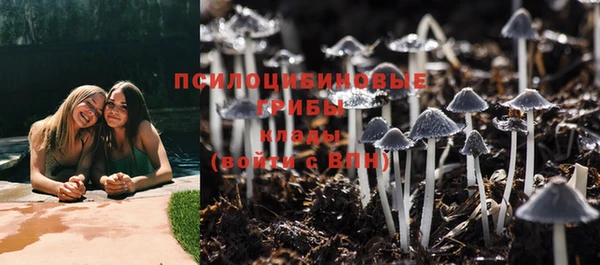 ALPHA PVP Алзамай